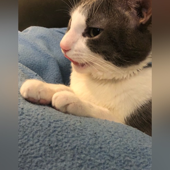 Meet Your Posher’s Posse- - Picture 6 of 12